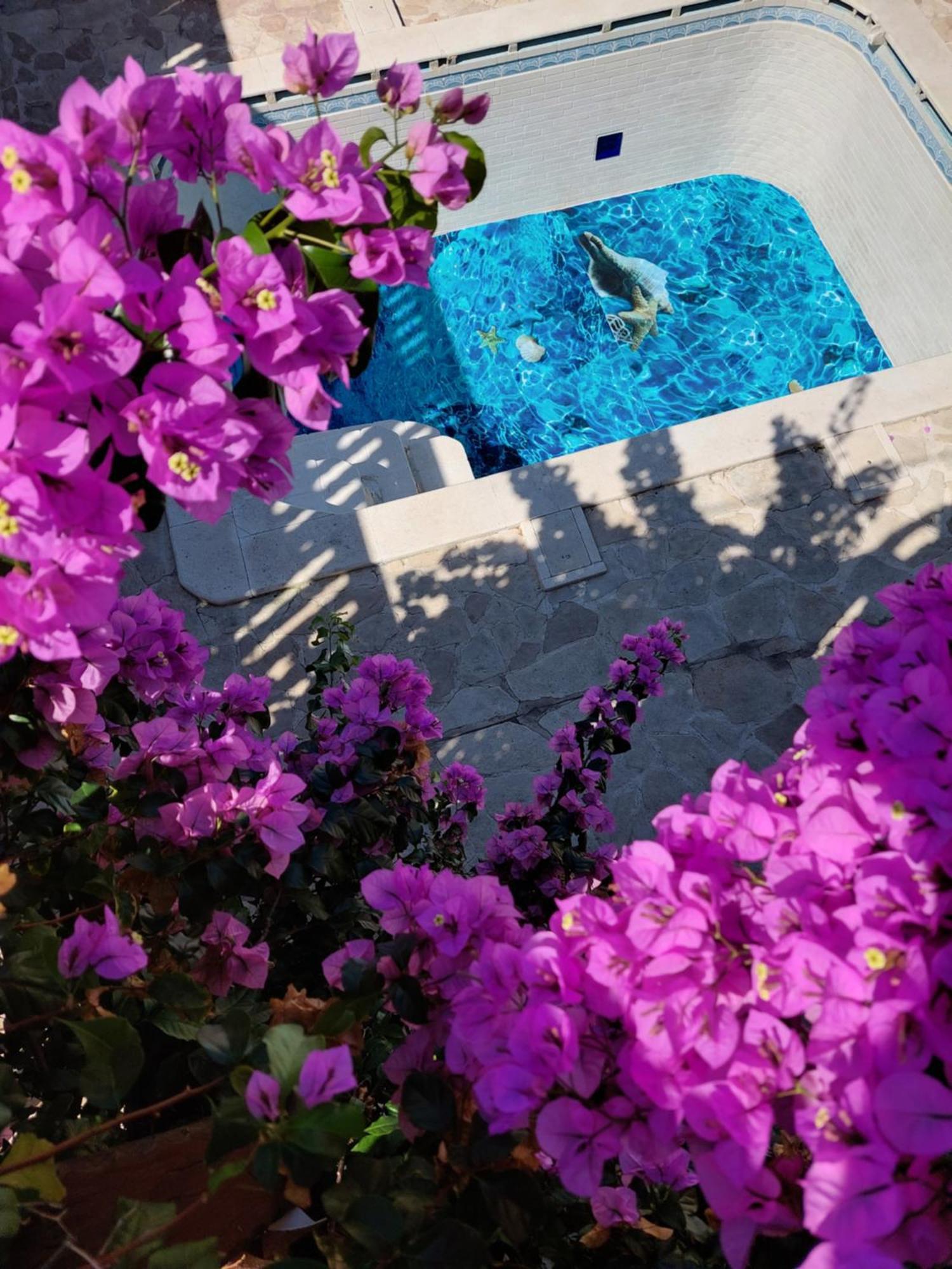 Studios Villa Romantica Zadar Extérieur photo